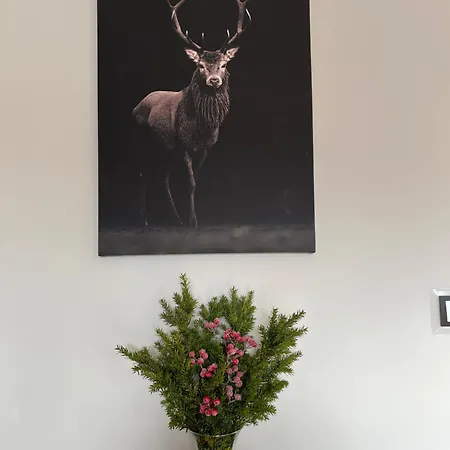 Appartamento Z Kominkiem The One Belweder