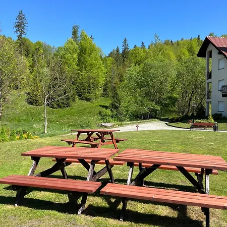 Z Kominkiem The One Belweder Wisła