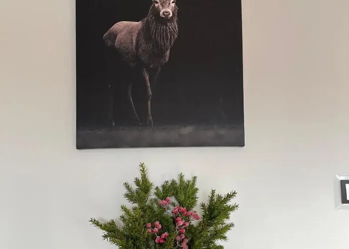 Apartmán Z Kominkiem The One Belweder