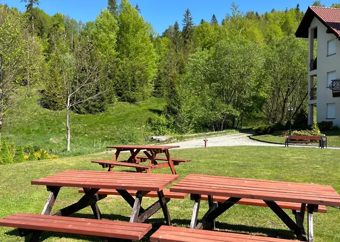 Z Kominkiem The One Belweder Wisła